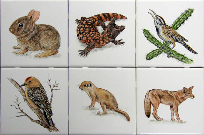 Tile art portraits of desert cottontail baby, Gila monster, cactus wren, Gila woodpecker, round-tailed ground squirrel, adult coyote. Artist Julia Sweda.