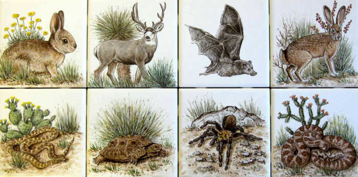 Tile art portraits of cottontail rabbit, mule deer, long-nosed bat, black tailed jackrabbit, gopher snake, by Julia Sweda.