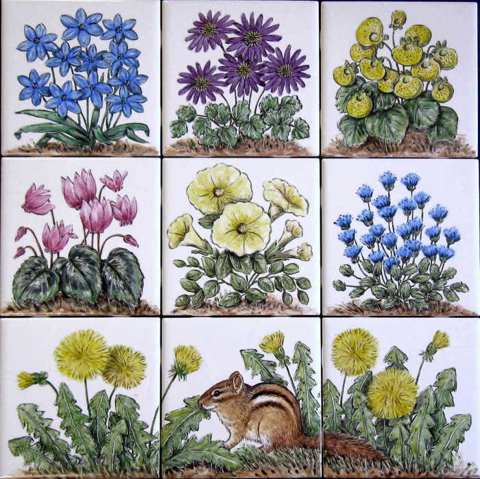 Joans Flowers accent tiles, Eastern chipmunk portrait, other flower species on individual tiles. Hand painted tile art by Julia Sweda.