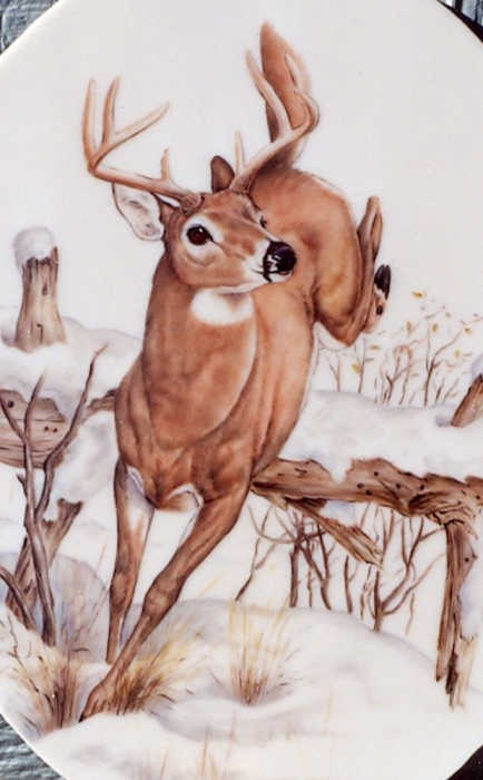 Portrait of white-tailed deer-buck jumping over a fallen tree, winter scene. Stained glass painting by artist Julia Sweda.